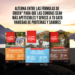 null - Product thumbnail 6.0